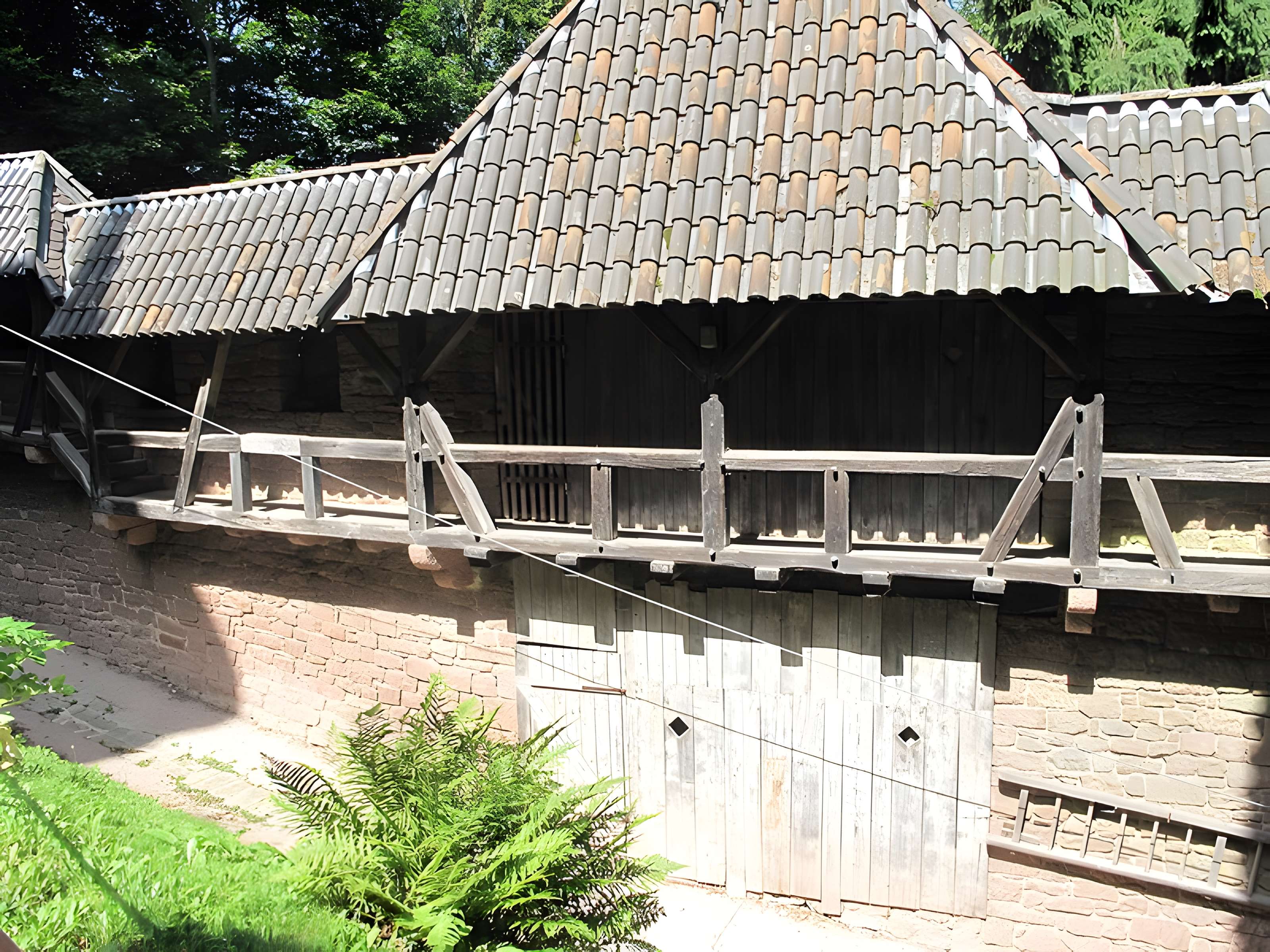 Château du Haut-Koenigsbourg