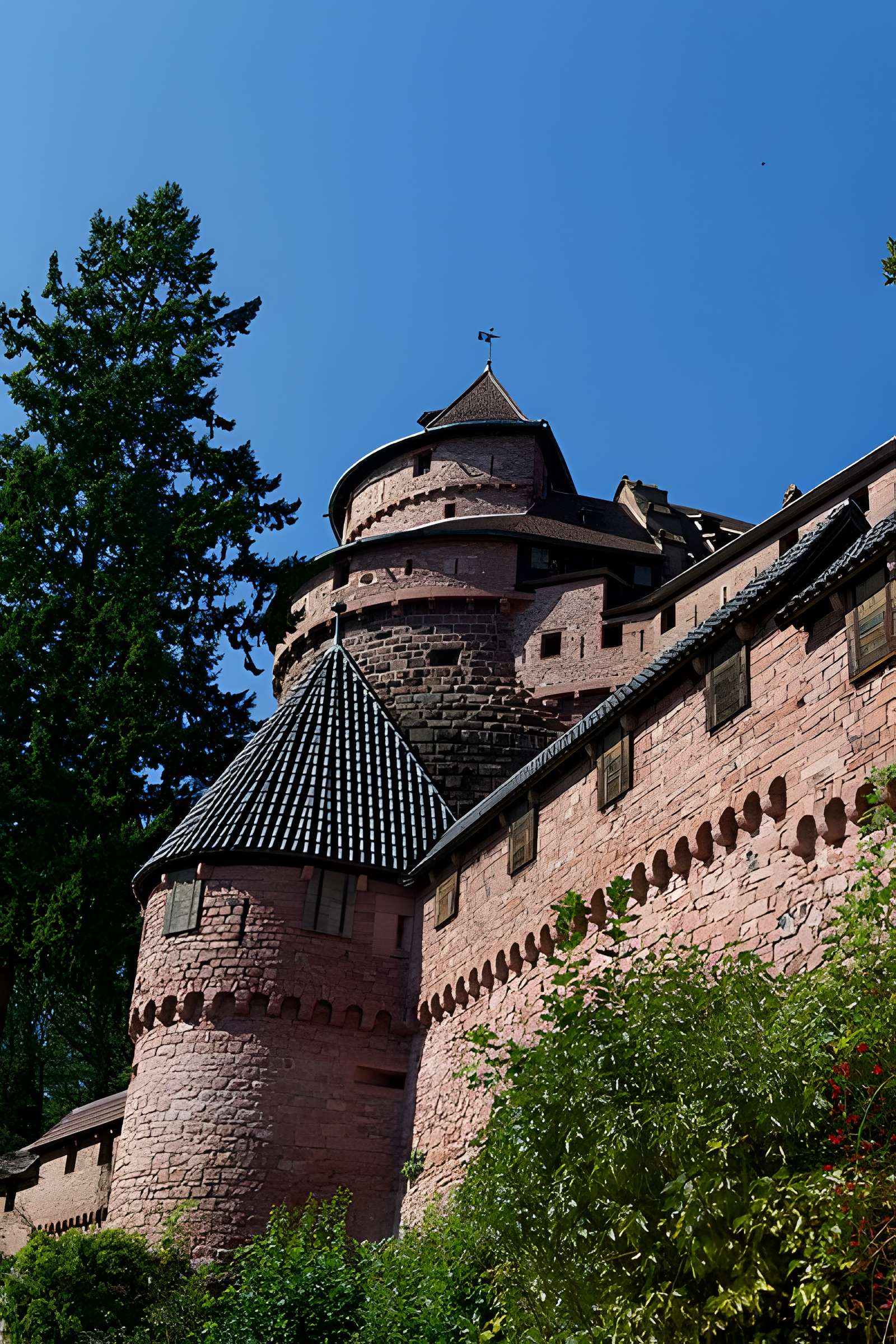 Château du Haut-Koenigsbourg