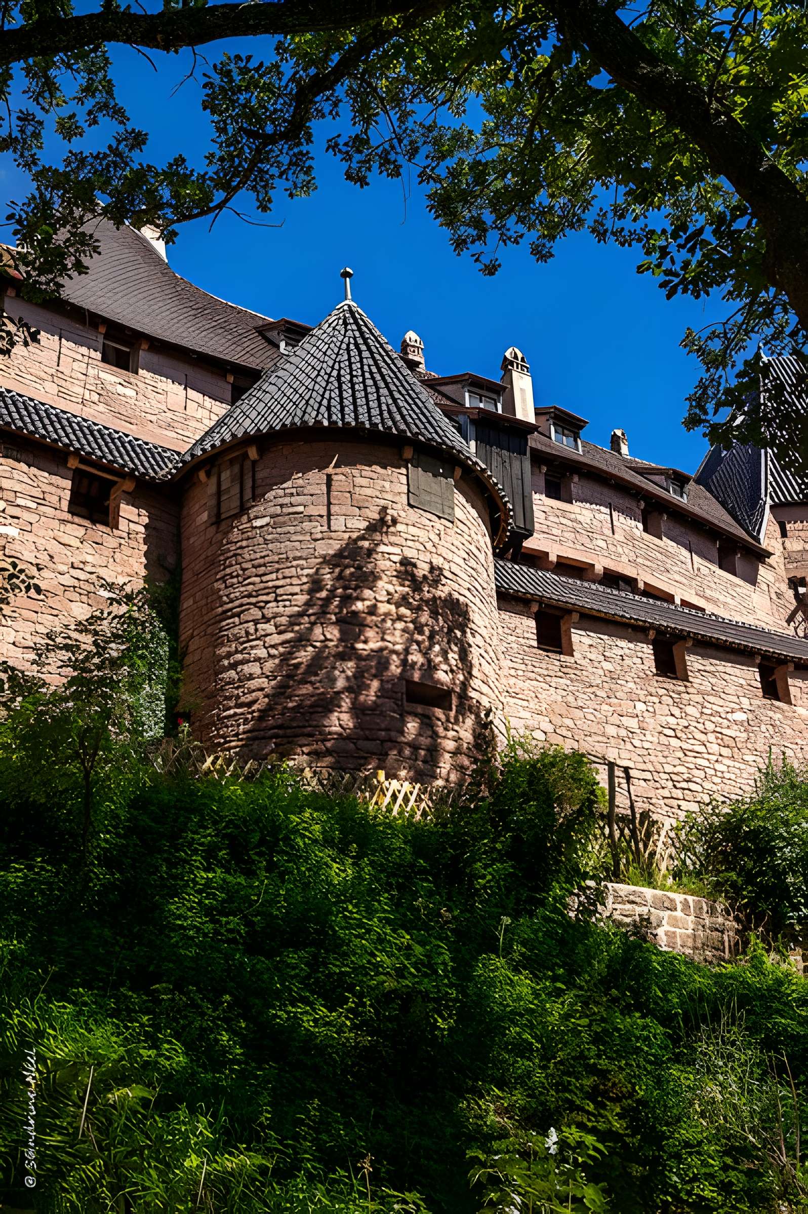 Château du Haut-Koenigsbourg