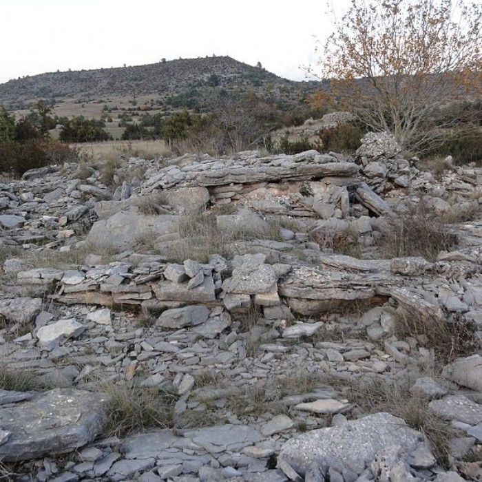 Photo de Site archéologique du dolmen 3 de Saint-Martin-du-Larzac à Millau