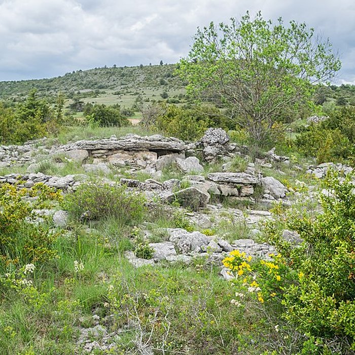 Photo de Site archéologique du dolmen 3 de Saint-Martin-du-Larzac à Millau