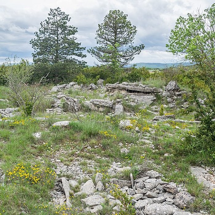 Photo de Site archéologique du dolmen 3 de Saint-Martin-du-Larzac à Millau