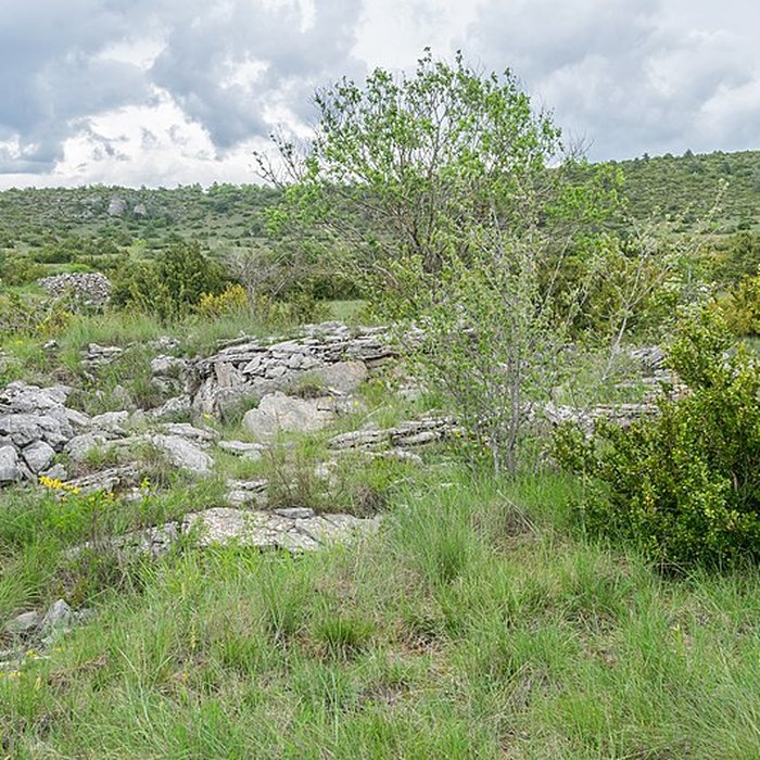 Photo de Site archéologique du dolmen 3 de Saint-Martin-du-Larzac à Millau
