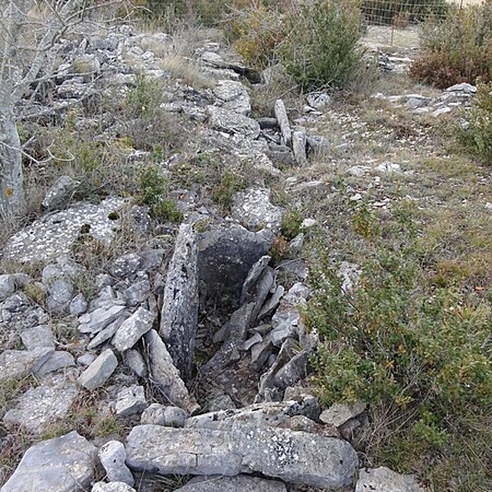 Photo de Site archéologique du dolmen 3 de Saint-Martin-du-Larzac à Millau