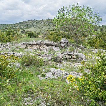 Site archéologique du dolmen 3 de Saint-Martin-du-Larzac à Millau
