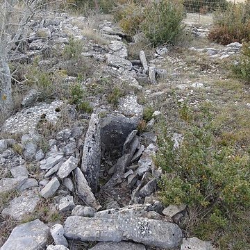 Site archéologique du dolmen 3 de Saint-Martin-du-Larzac à Millau