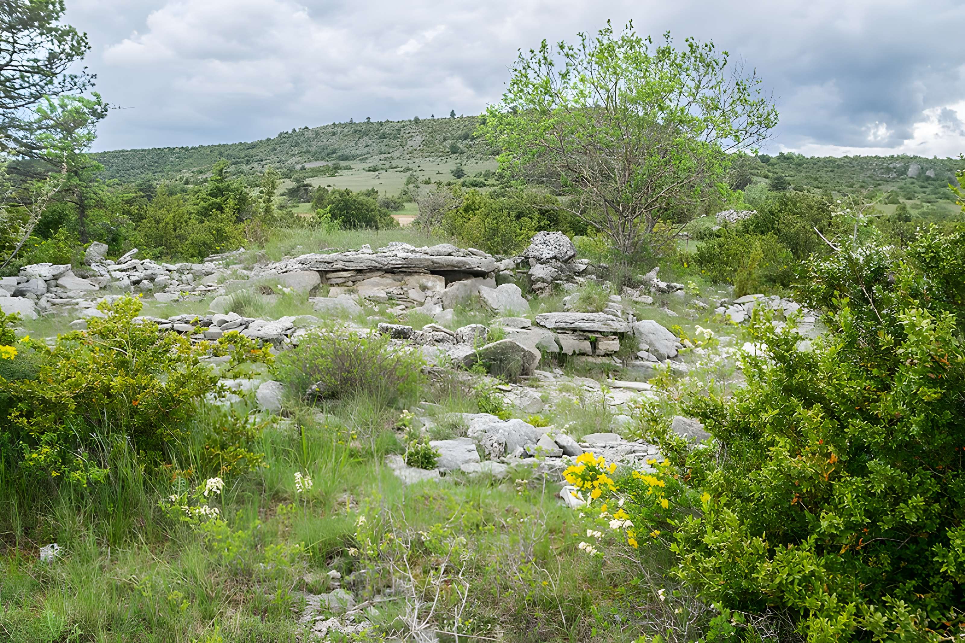 Site archéologique du dolmen 3 de Saint-Martin-du-Larzac à Millau