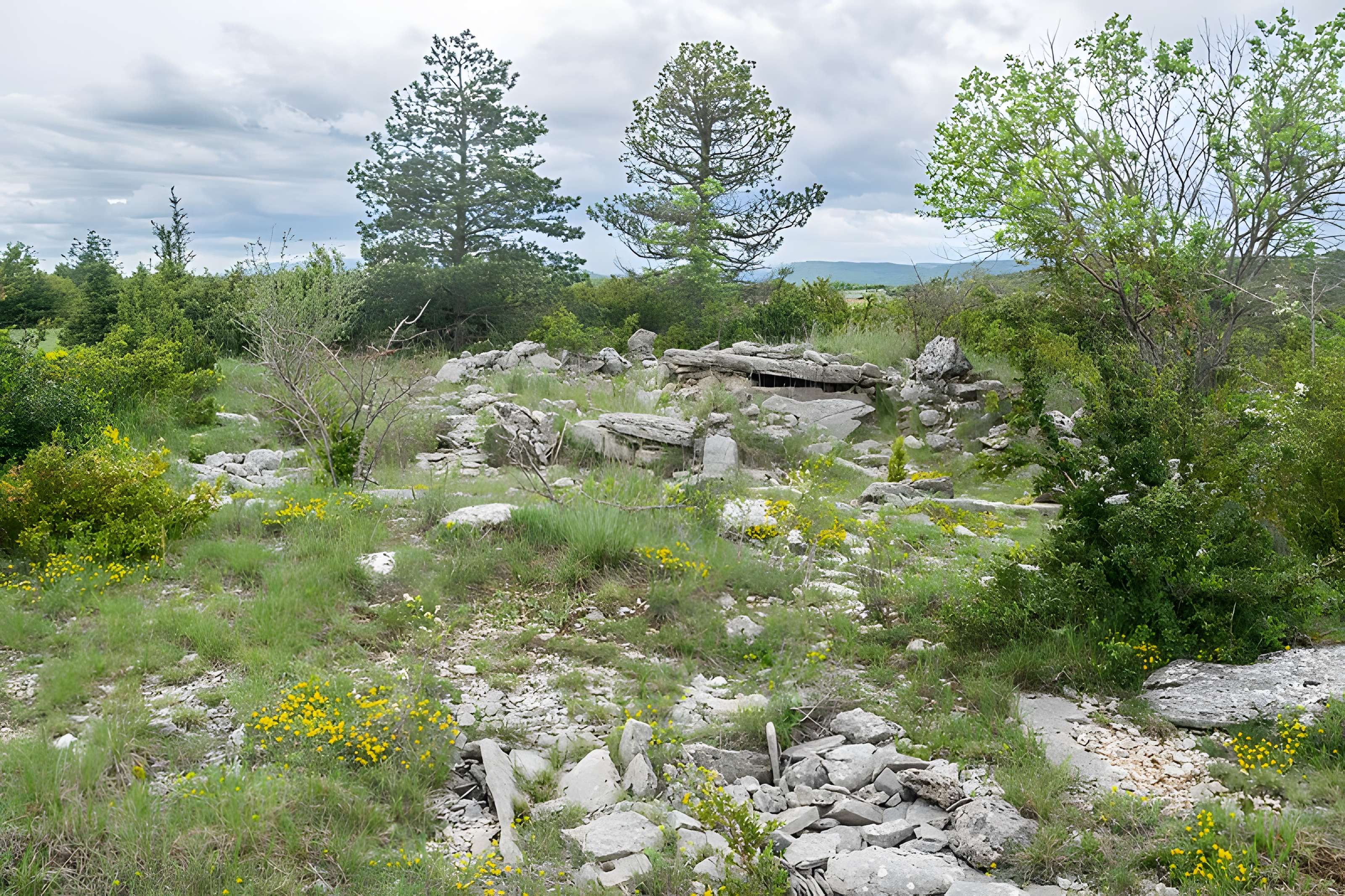 Site archéologique du dolmen 3 de Saint-Martin-du-Larzac à Millau