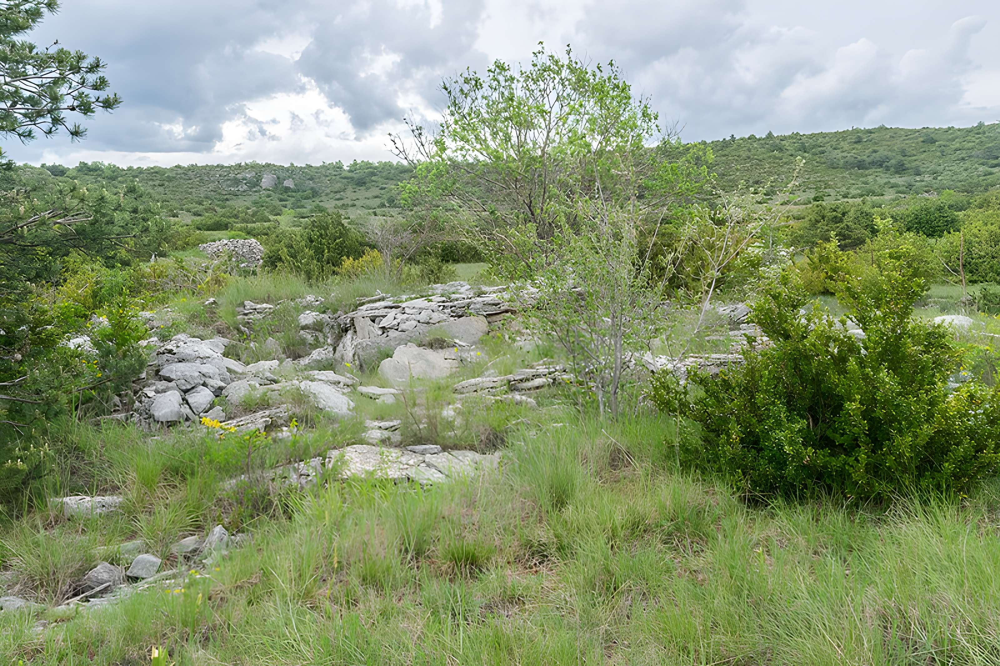 Site archéologique du dolmen 3 de Saint-Martin-du-Larzac à Millau