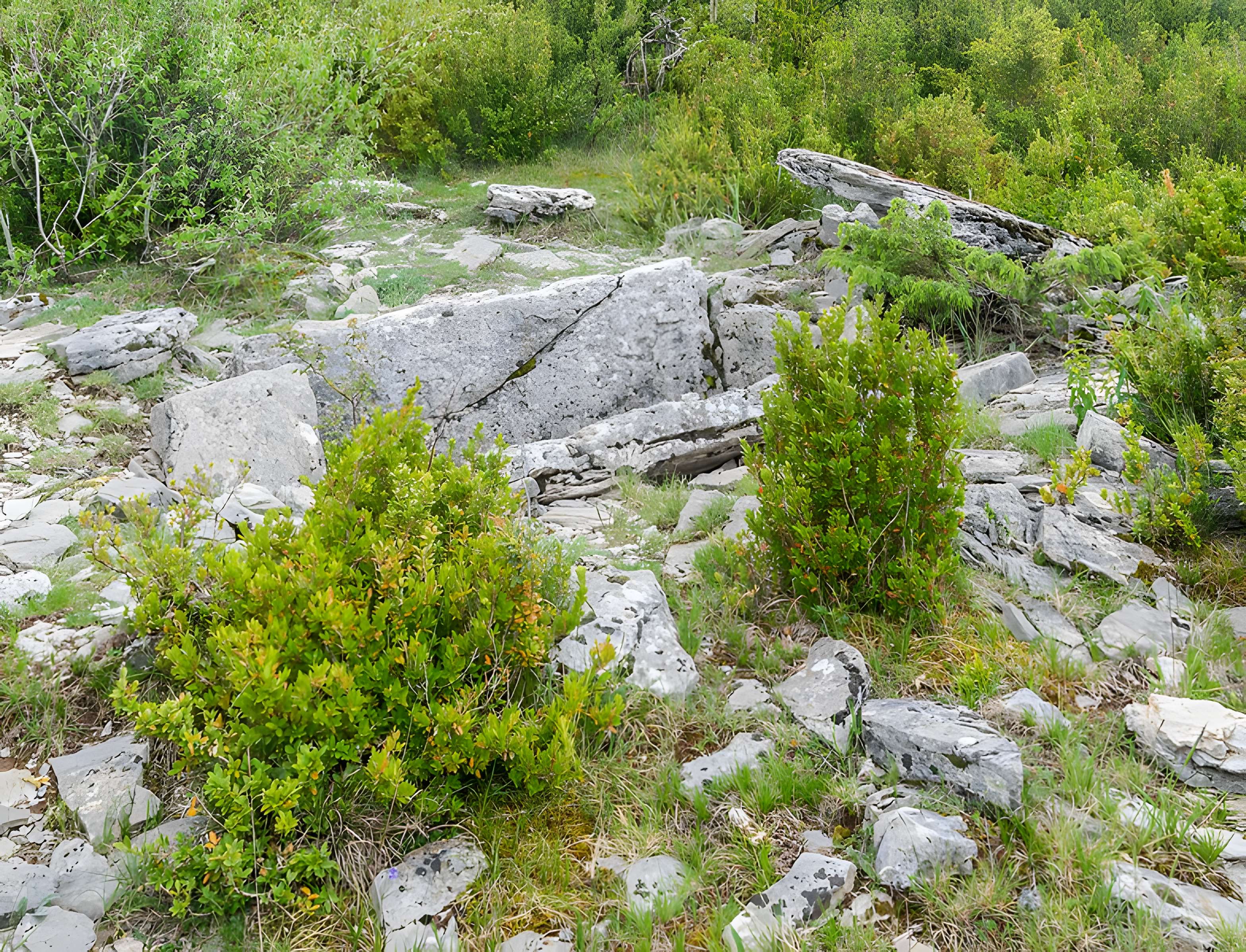 Site archéologique du dolmen 3 de Saint-Martin-du-Larzac à Millau