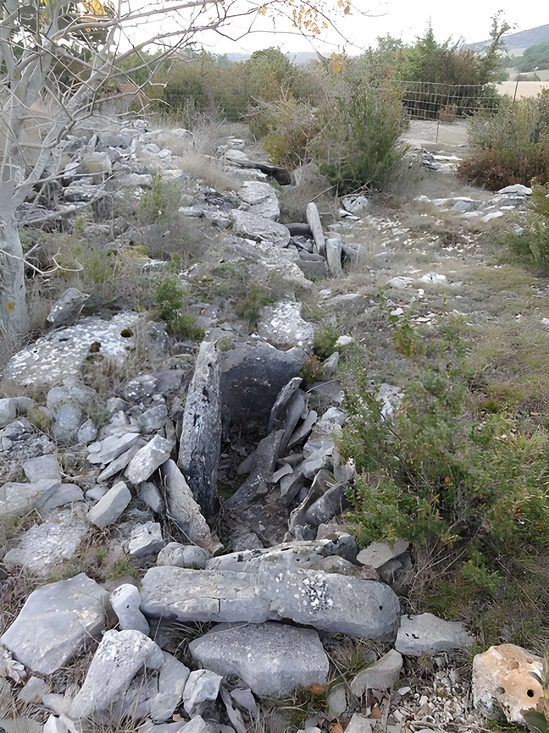 Site archéologique du dolmen 3 de Saint-Martin-du-Larzac à Millau