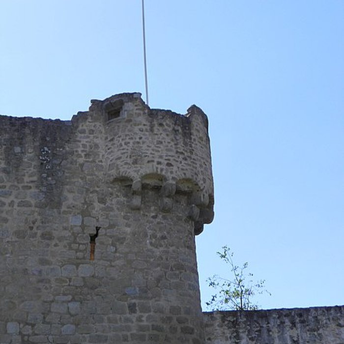 Photo de Château de Hohlandsberg ou Hohlandsbourg