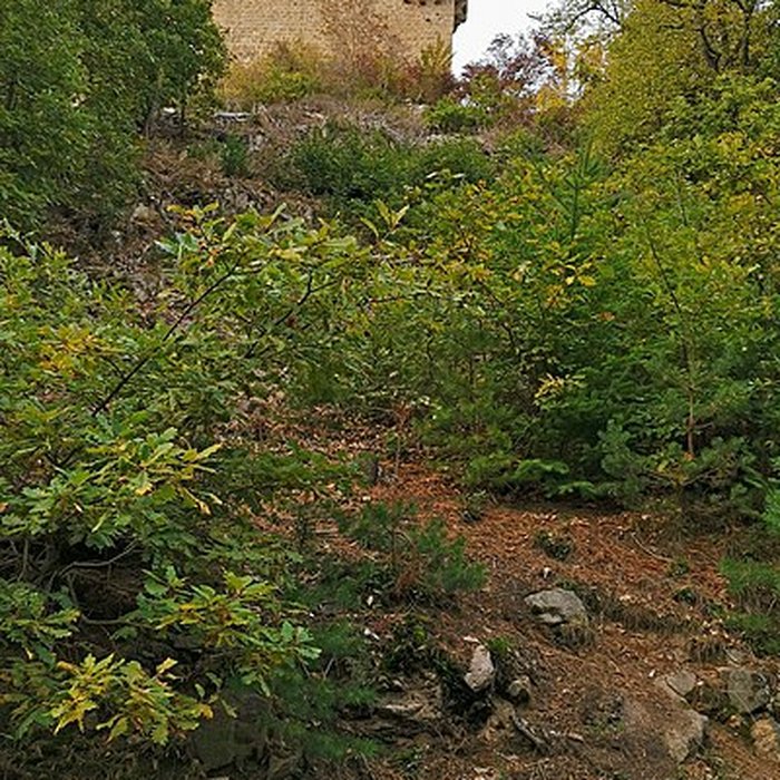 Photo de Château de Hohlandsberg ou Hohlandsbourg