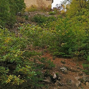 Château de Hohlandsberg ou Hohlandsbourg