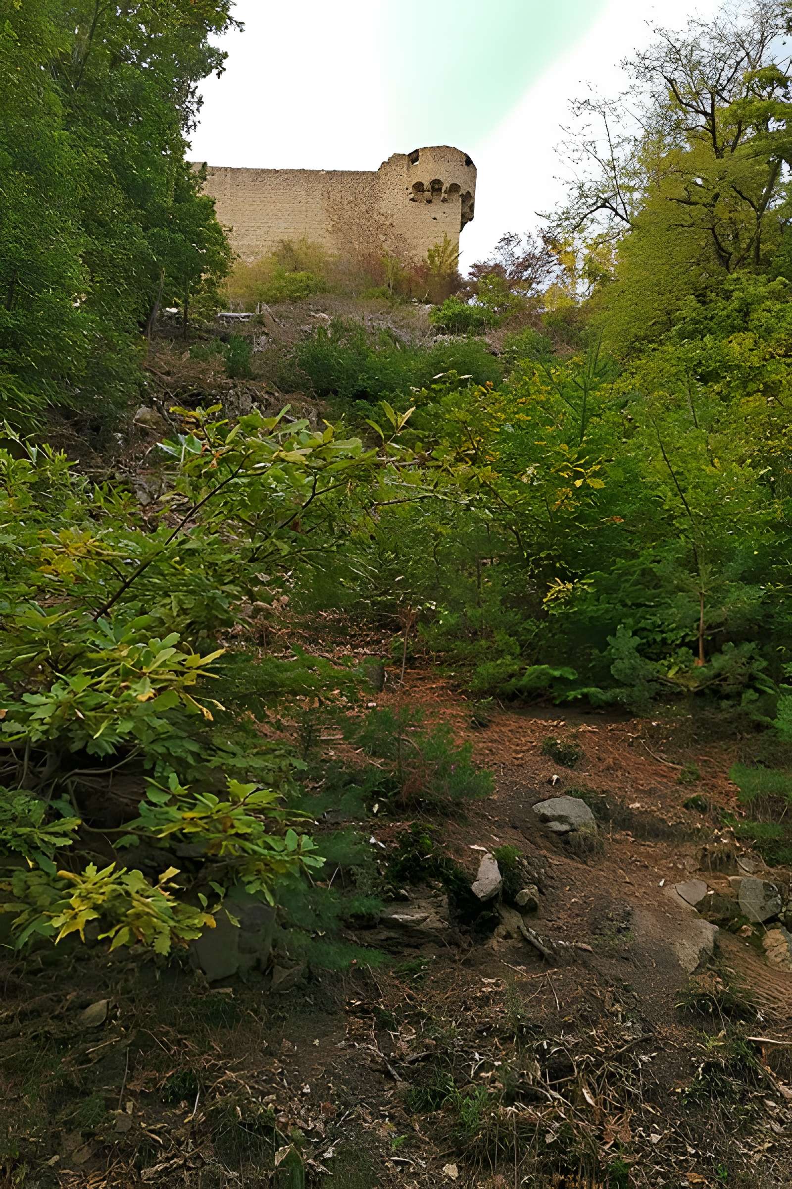 Château de Hohlandsberg ou Hohlandsbourg