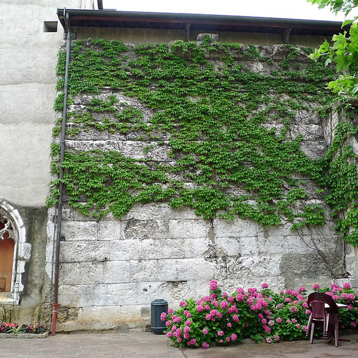 Photo de Temple de Diane à Aix-les-Bains