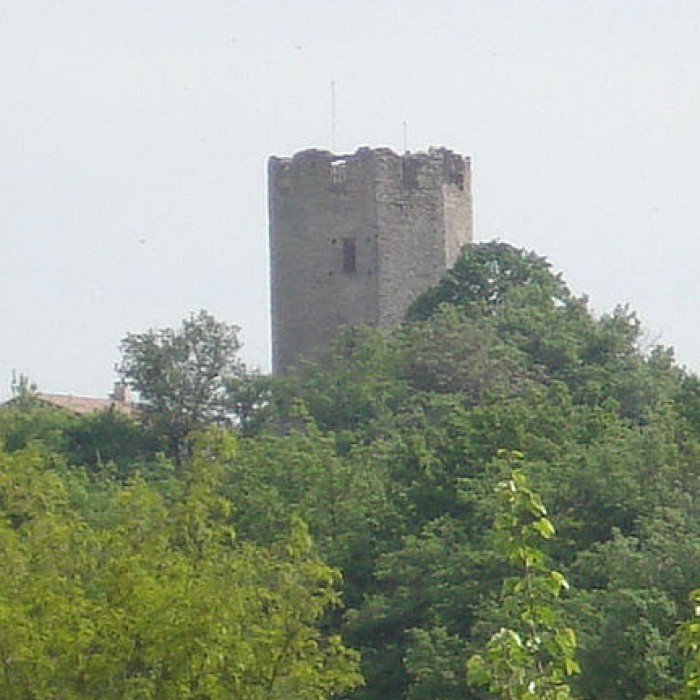 Photo de Tour carolingienne de Ratières