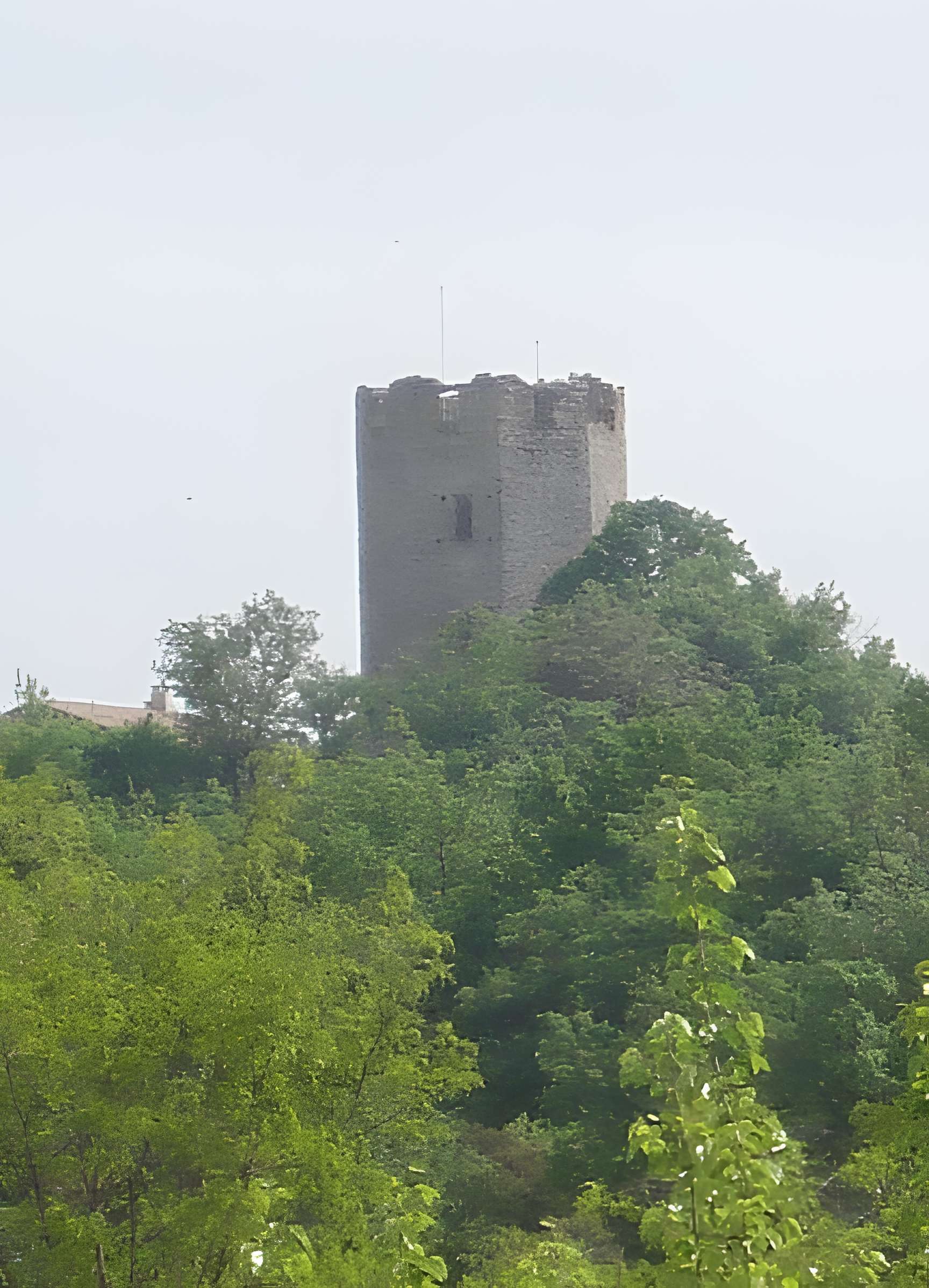Tour carolingienne de Ratières
