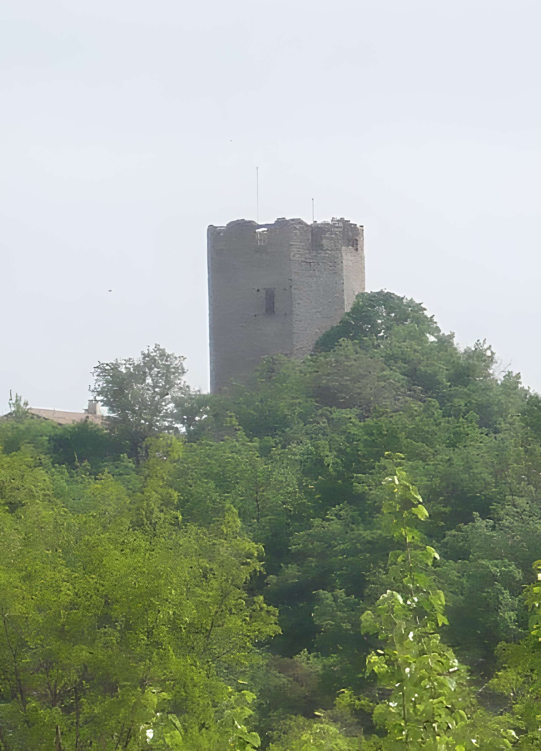 Tour carolingienne de Ratières 