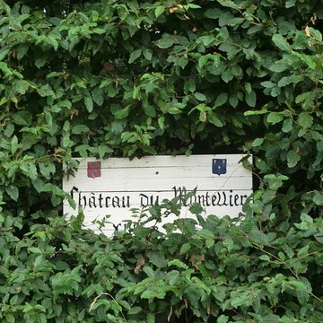 Ensemble castral du Montellier