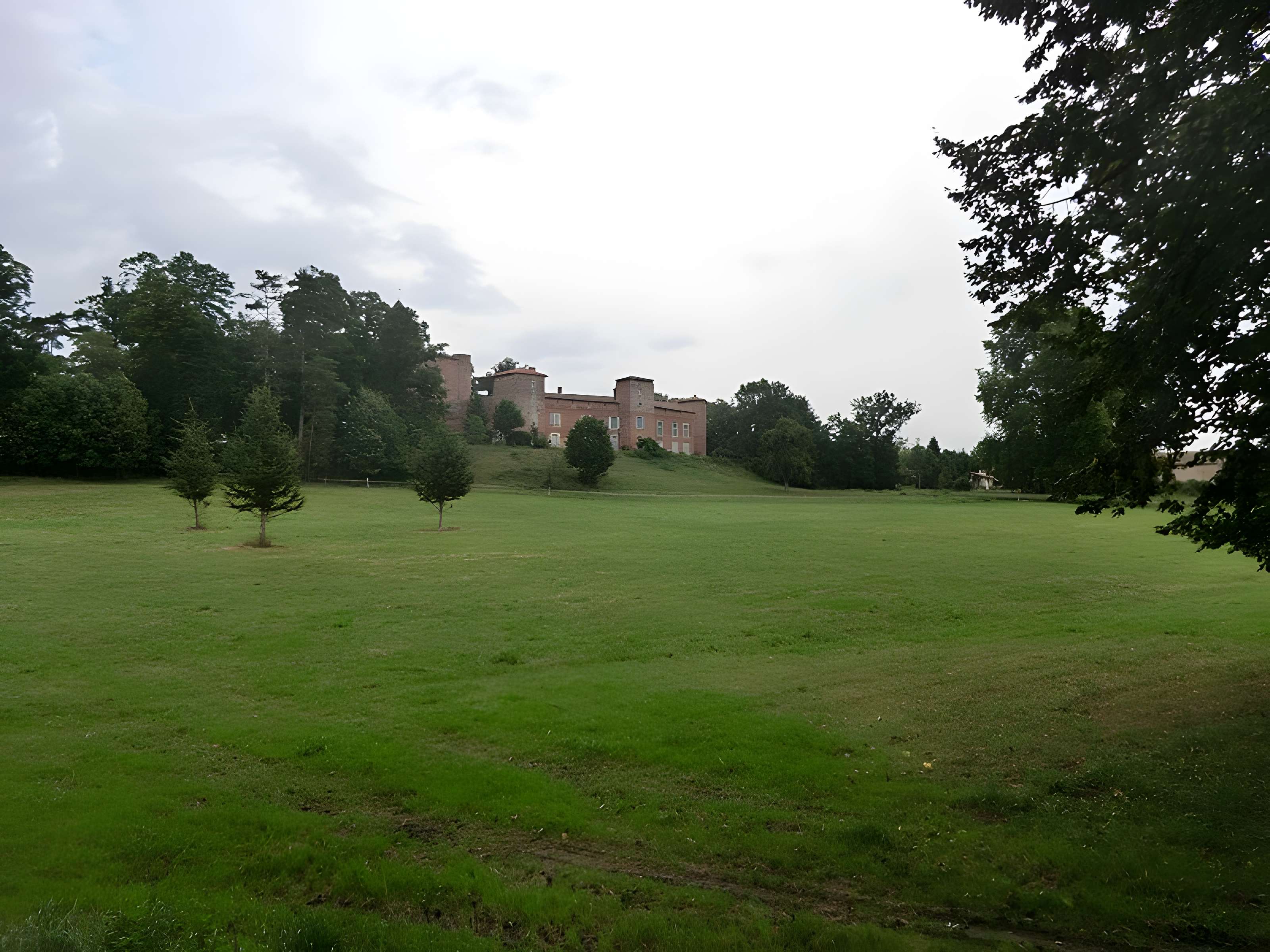 Ensemble castral du Montellier