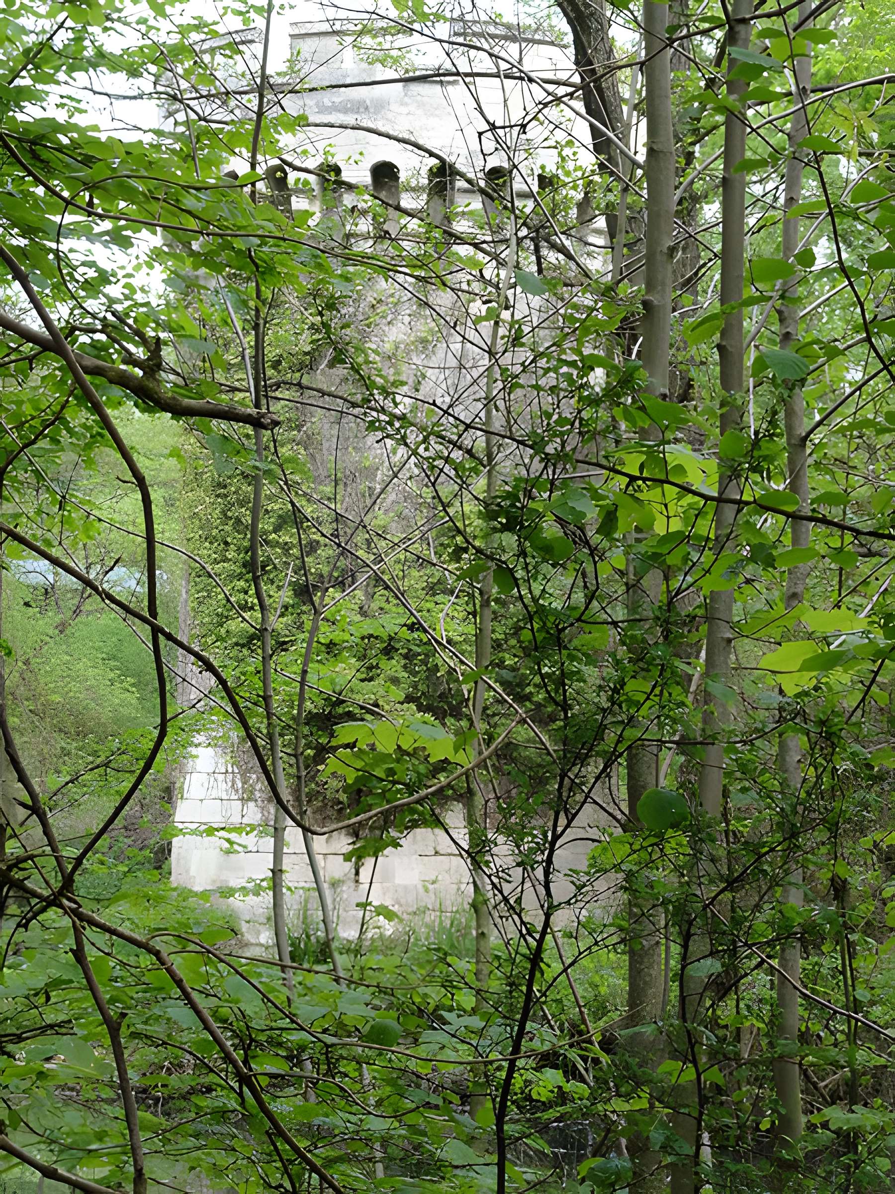 Tour de Vaurseine de Ployart-et-Vaurseine