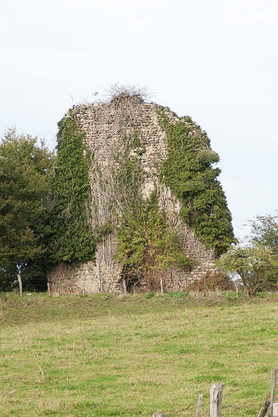 Photo de Tour du Draillant de Perrignier