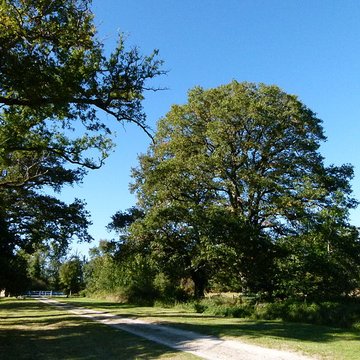 Château du Moulin