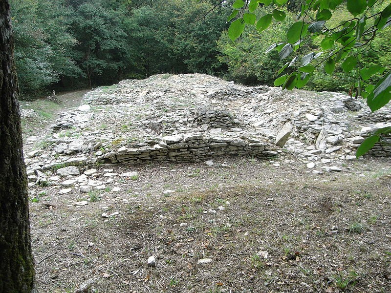Photo de Tumulus de champ Châlons à Courçon
