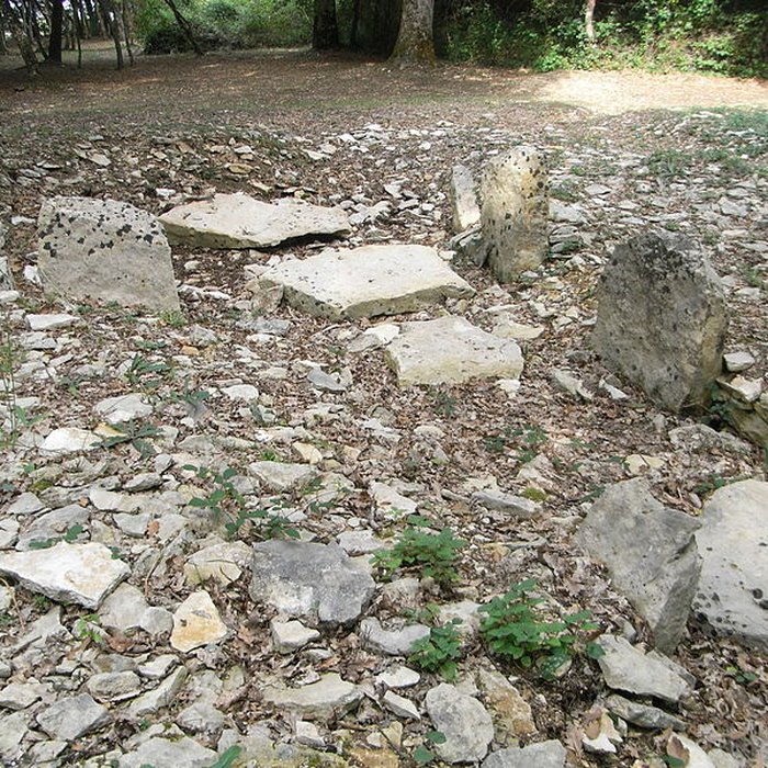 Photo de Tumulus de champ Châlons à Courçon