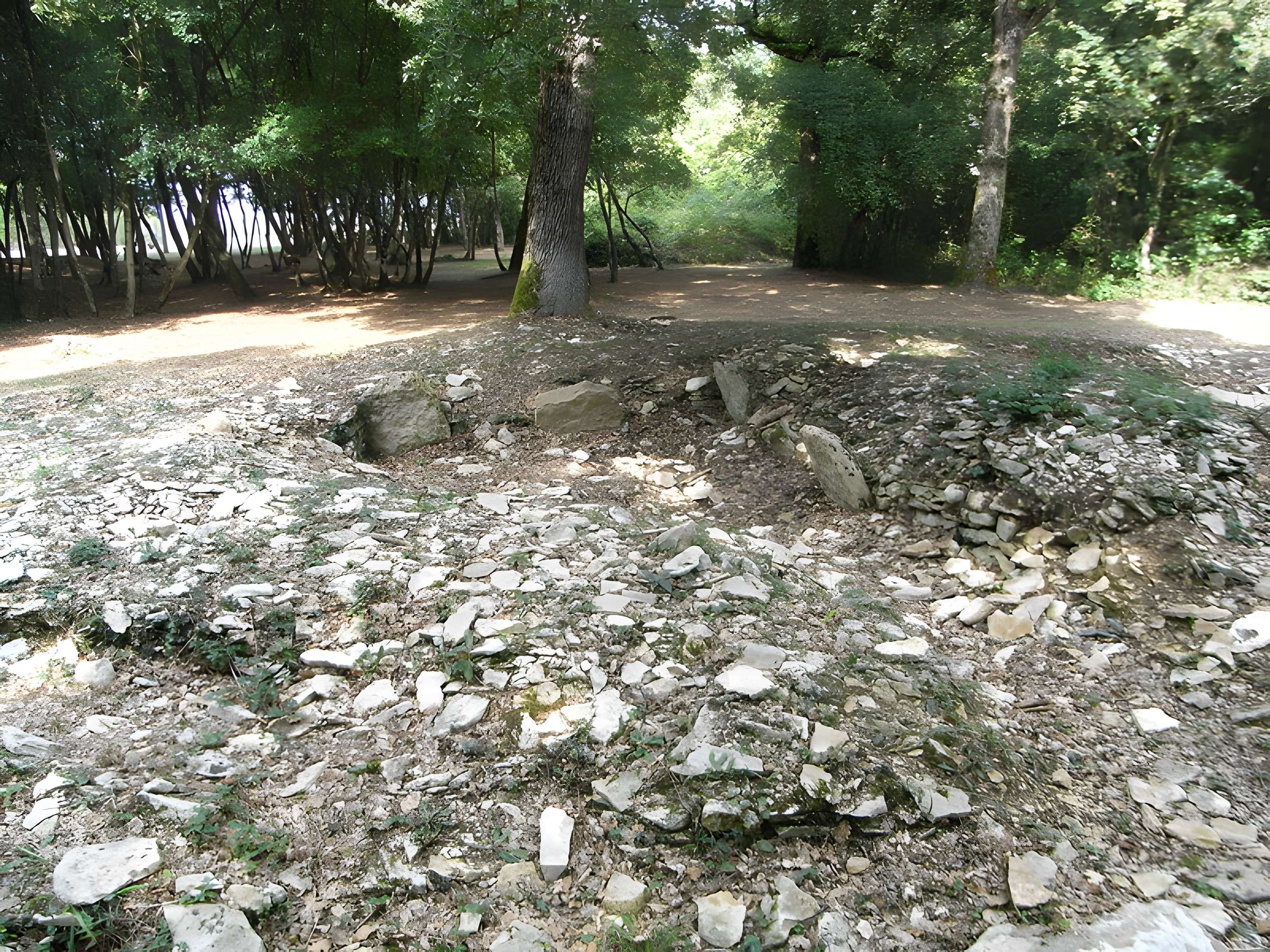Tumulus de champ Châlons à Courçon