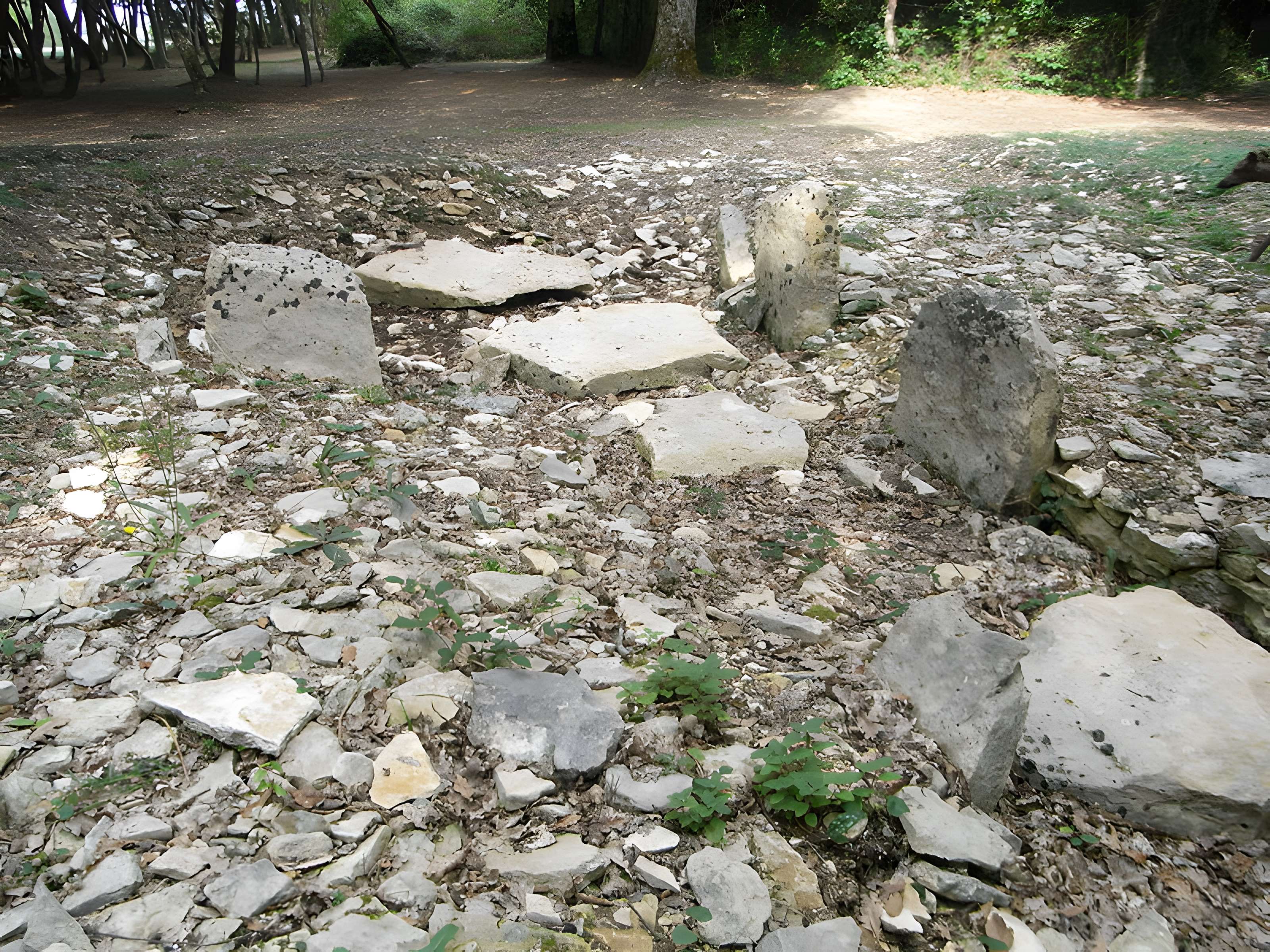 Tumulus de champ Châlons à Courçon