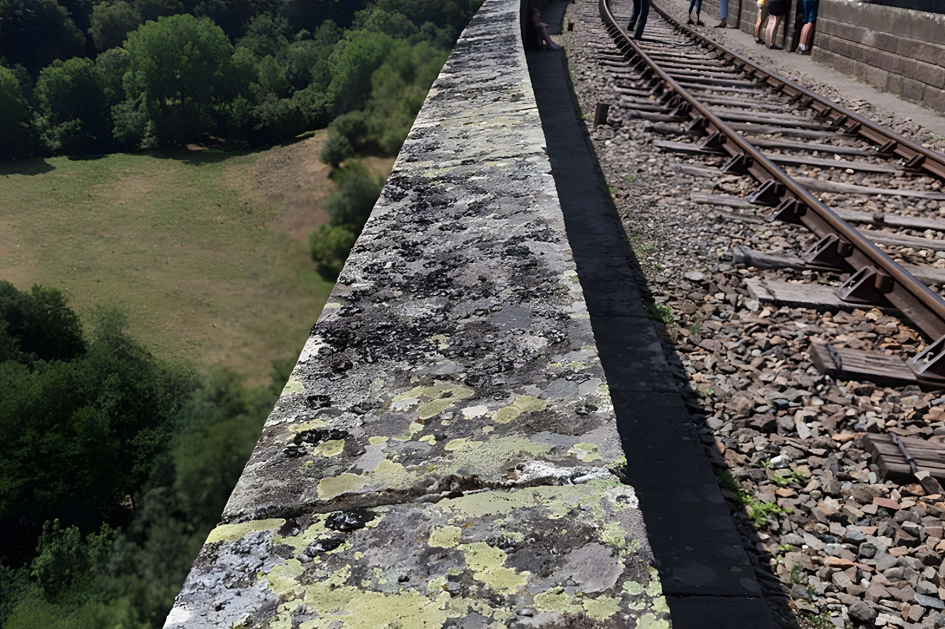 Viaduc de Barajols (également sur commune de Riom-ès-Montagne)