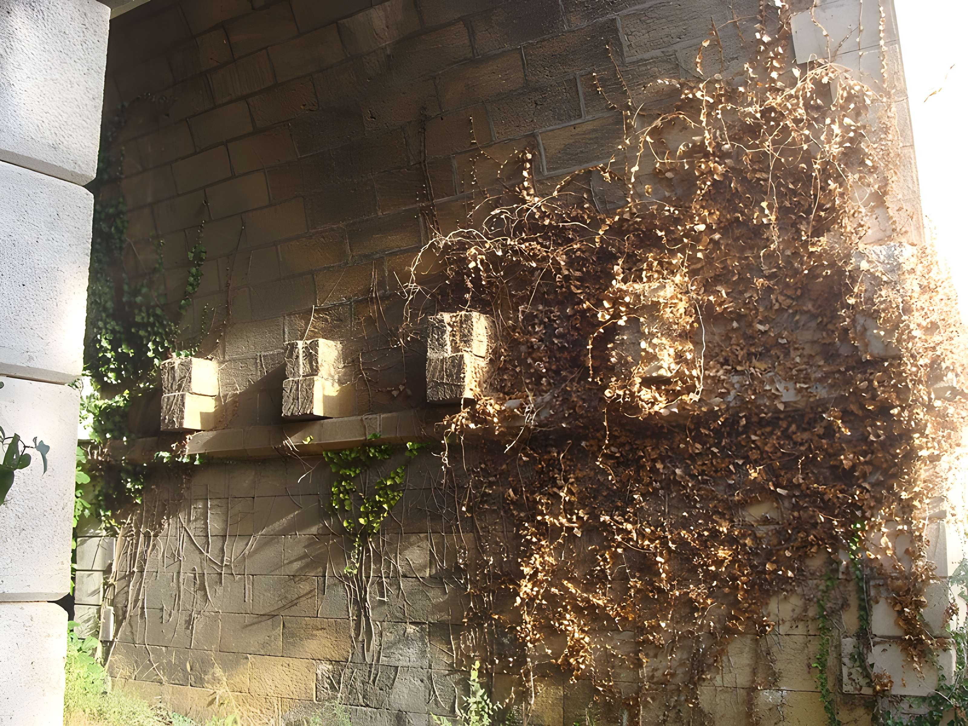 Viaduc de Saint-Chamas