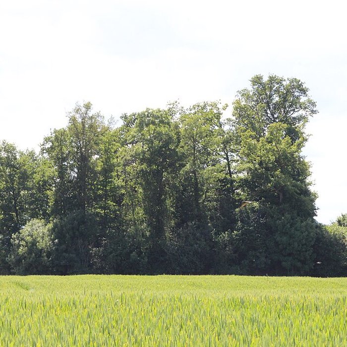 Photo de Vieux Bourg de LAbergement-Clémenciat
