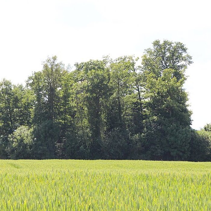 Photo de Vieux Bourg de LAbergement-Clémenciat