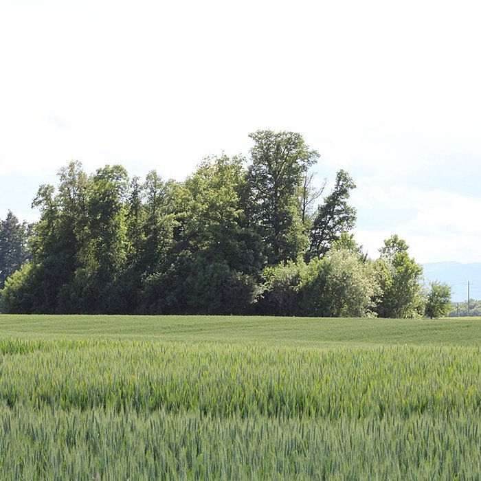 Photo de Vieux Bourg de LAbergement-Clémenciat