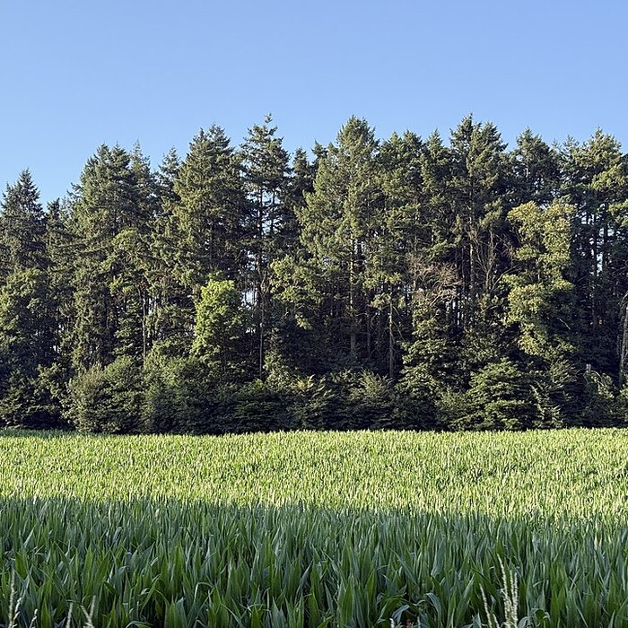 Photo de Vieux Bourg de LAbergement-Clémenciat