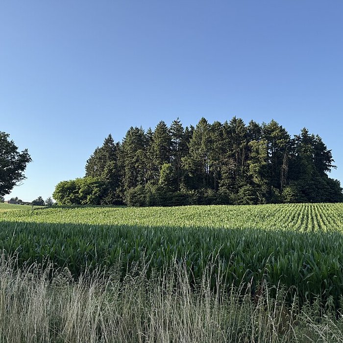 Photo de Vieux Bourg de LAbergement-Clémenciat
