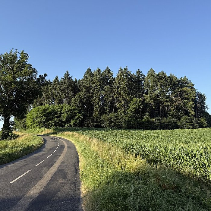 Photo de Vieux Bourg de LAbergement-Clémenciat