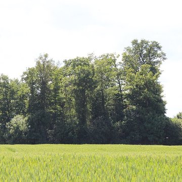 Vieux Bourg de LAbergement-Clémenciat