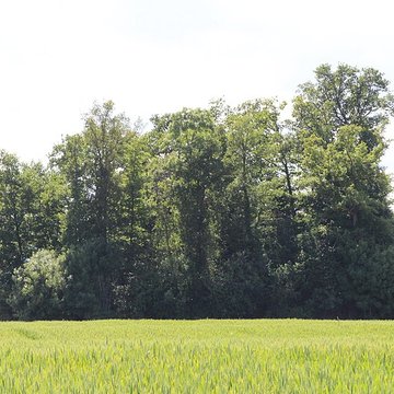 Vieux Bourg de LAbergement-Clémenciat