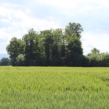 Vieux Bourg de LAbergement-Clémenciat