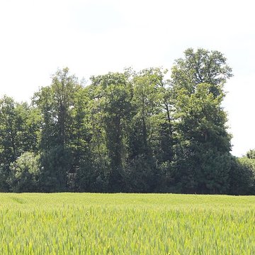 Vieux Bourg de LAbergement-Clémenciat