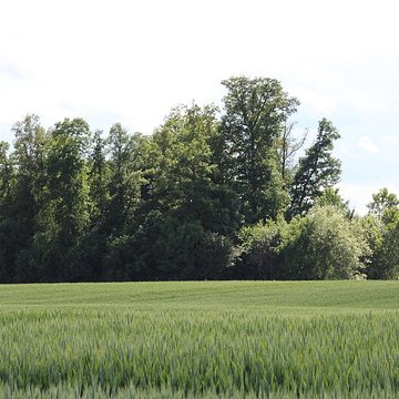 Vieux Bourg de LAbergement-Clémenciat