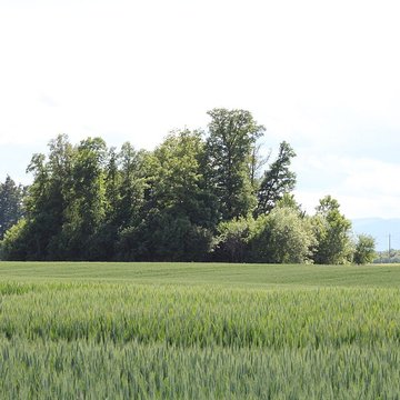 Vieux Bourg de LAbergement-Clémenciat