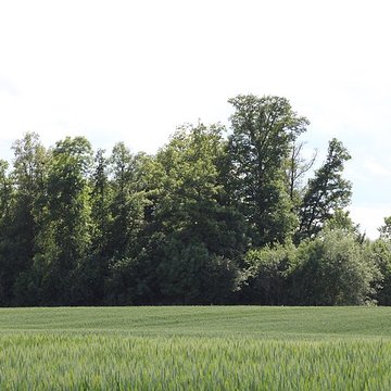 Vieux Bourg de LAbergement-Clémenciat