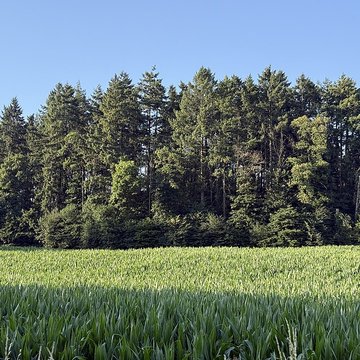 Vieux Bourg de LAbergement-Clémenciat