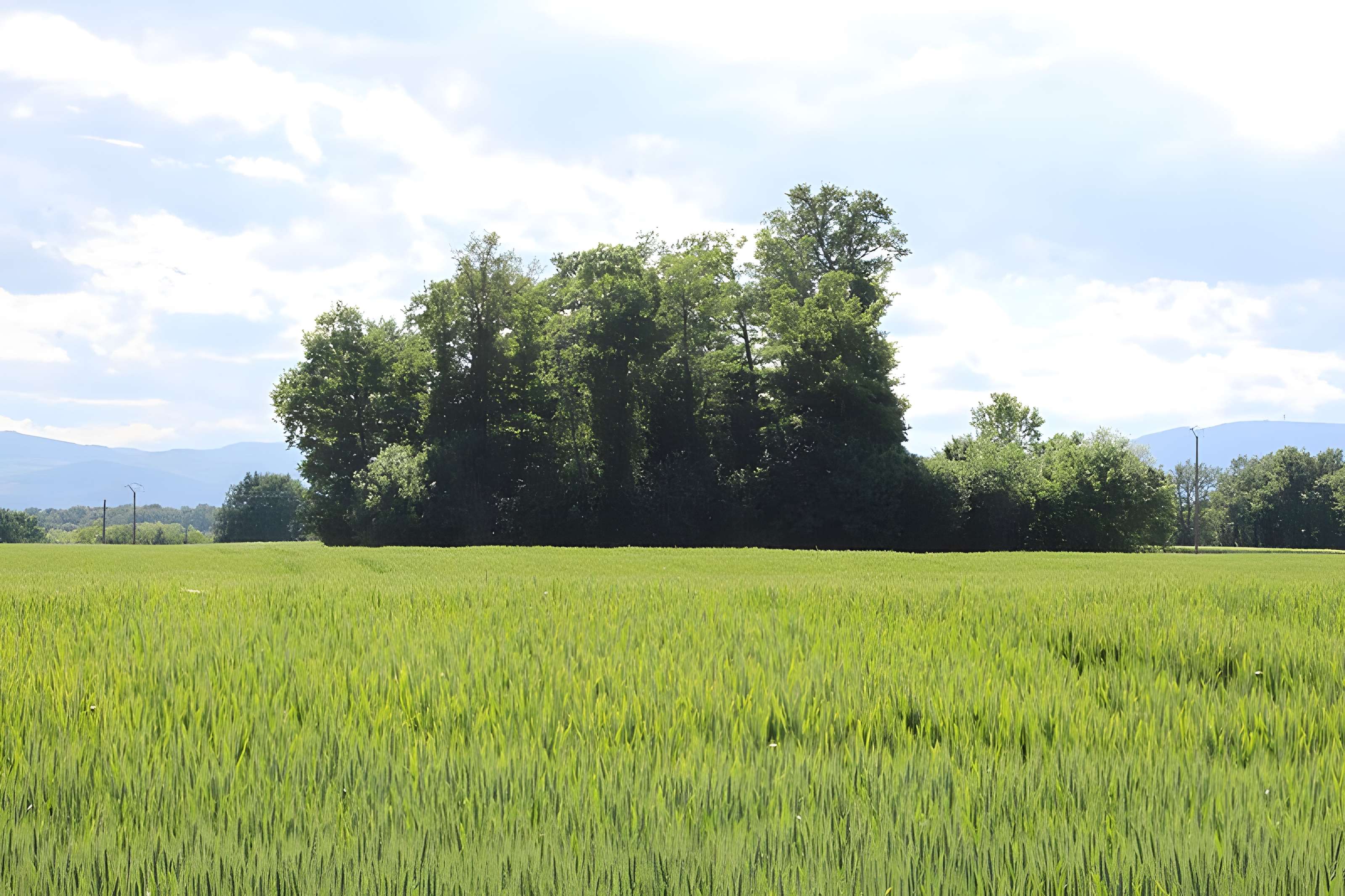 Vieux Bourg de L'Abergement-Clémenciat