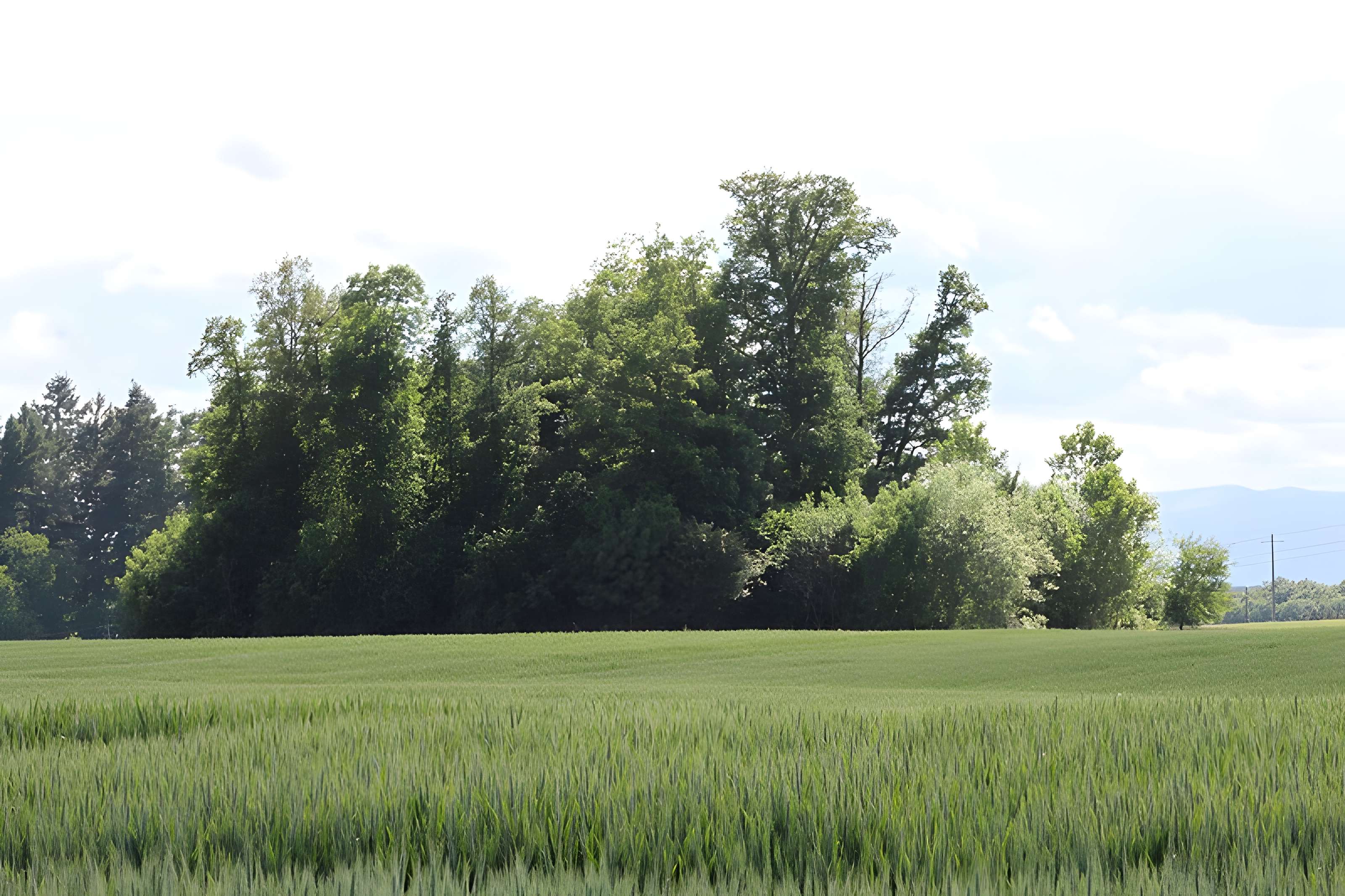 Vieux Bourg de L'Abergement-Clémenciat